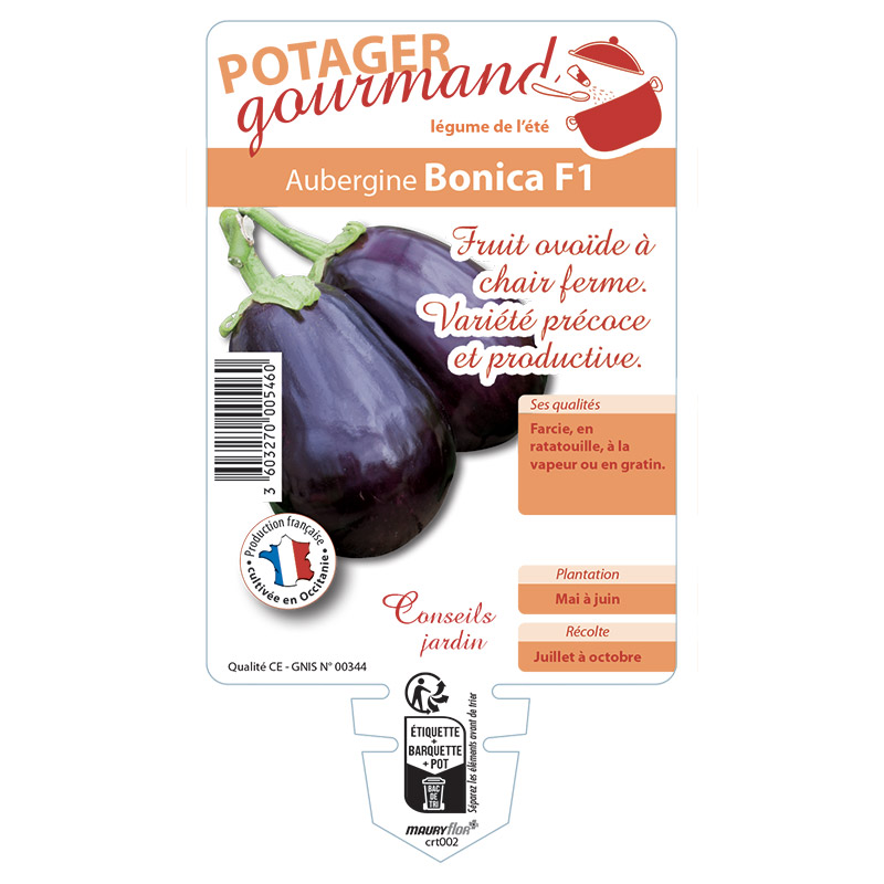 AUBERGINE BONICA