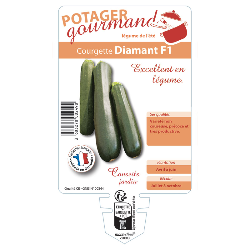 COURGETTE DIAMANT