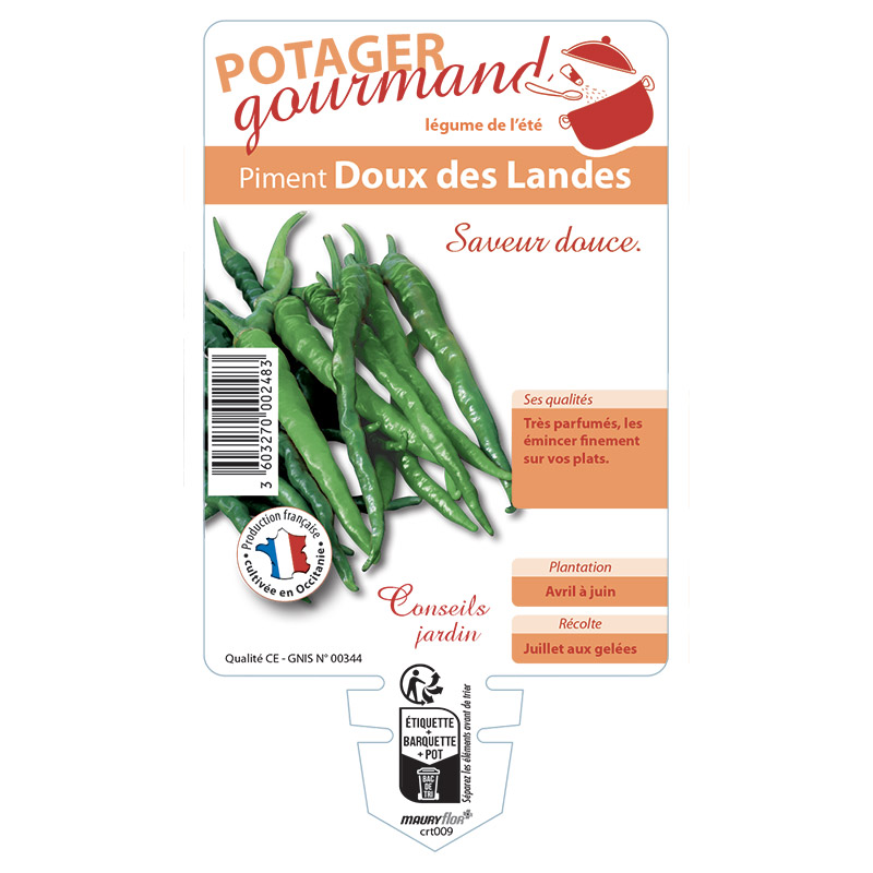 PIMENT DOUX DES LANDES