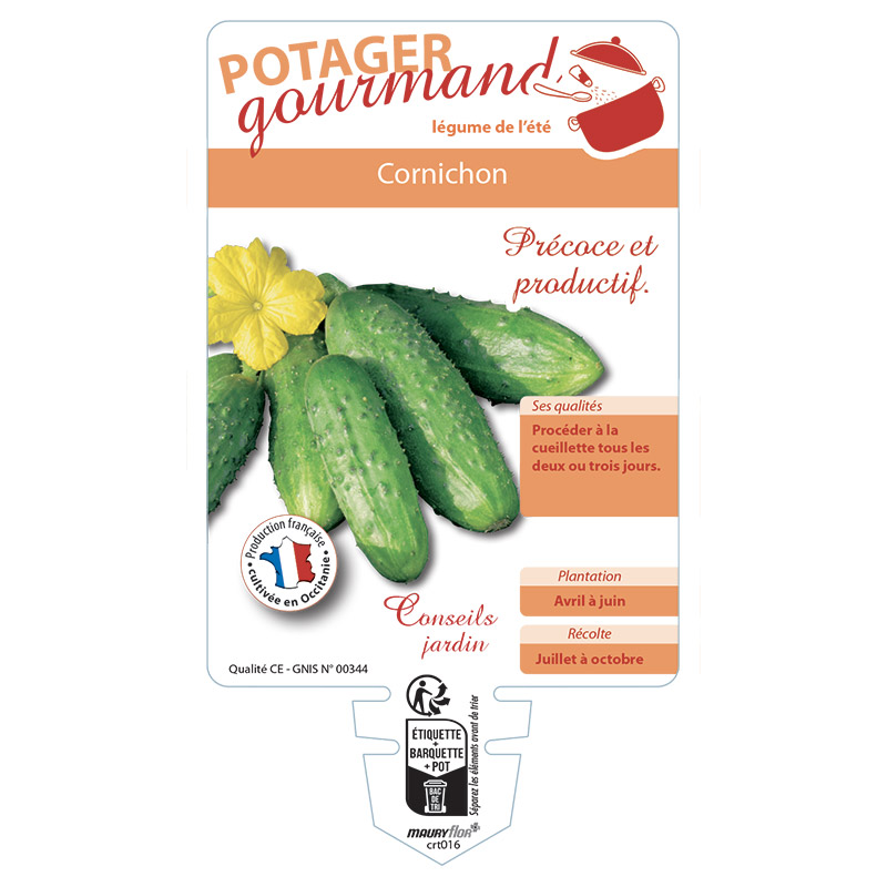 CORNICHON