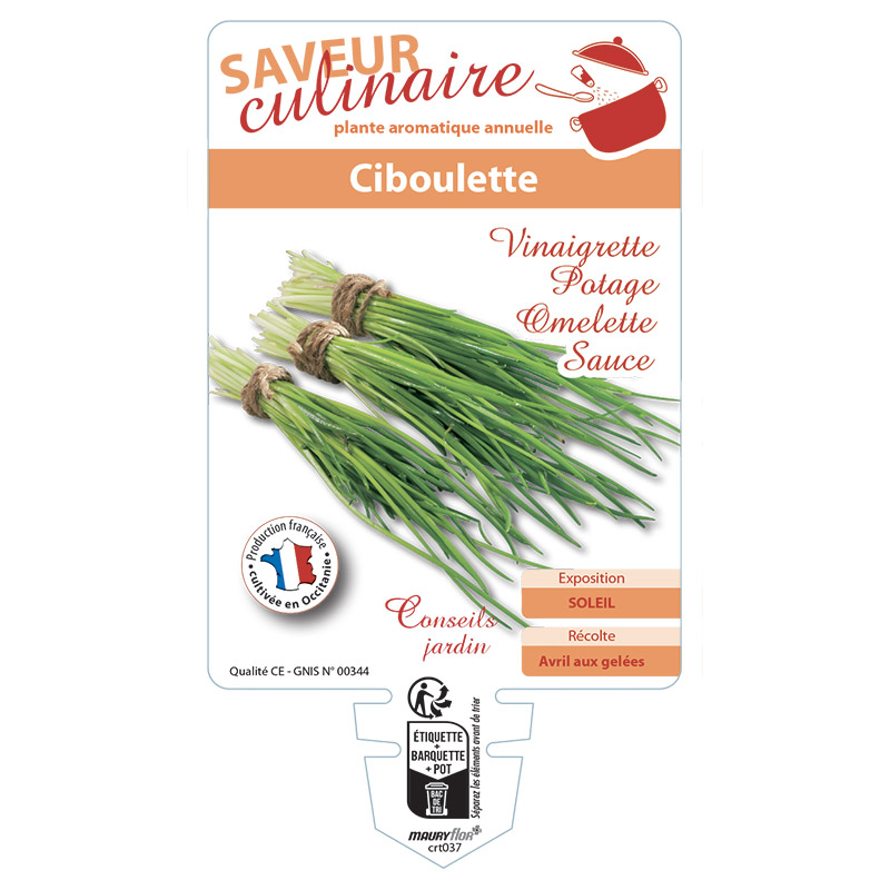 CIBOULETTE
