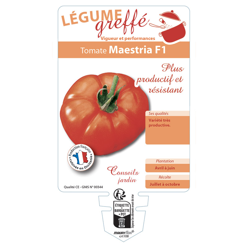 TOMATE MAESTRIA F1 GREFFÉE