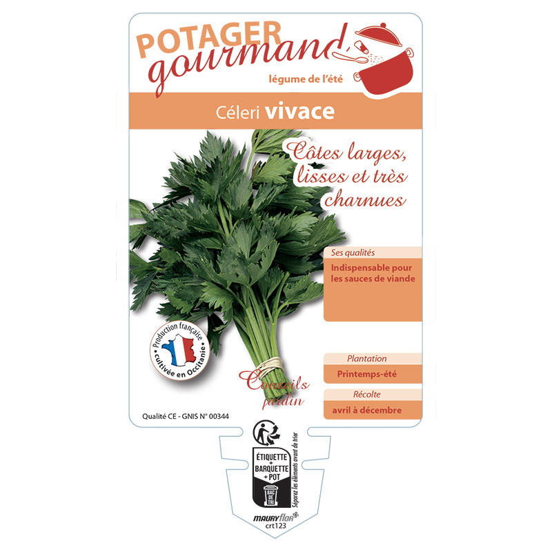 CELERI VIVACE