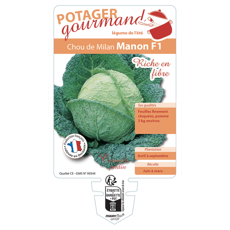 CHOU DE MILAN MANON