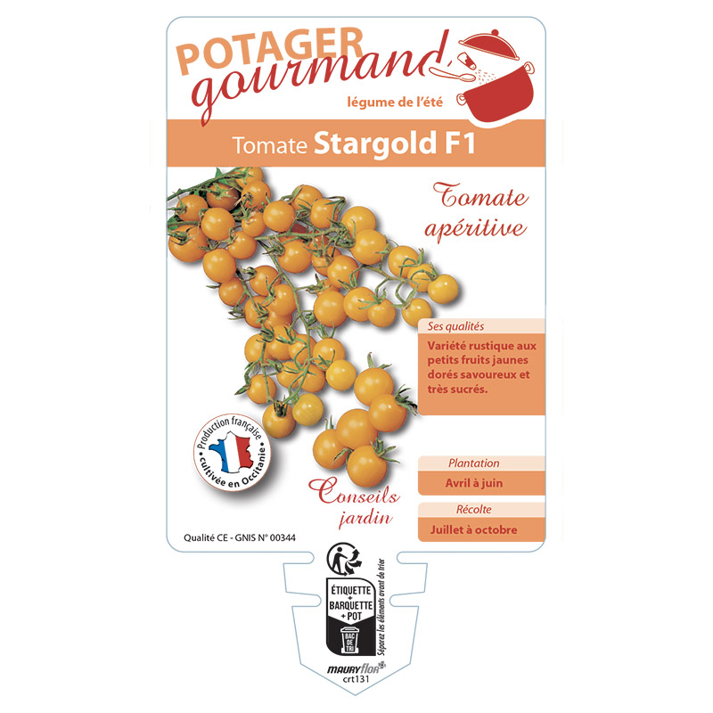 TOMATE STARGOLD