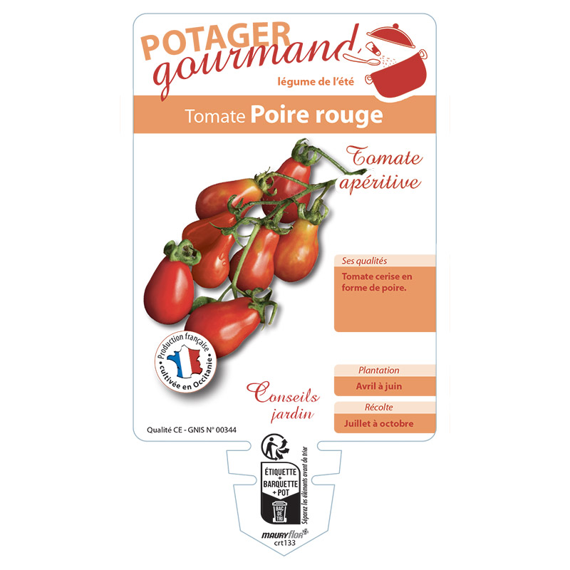 TOMATE POIRE ROUGE