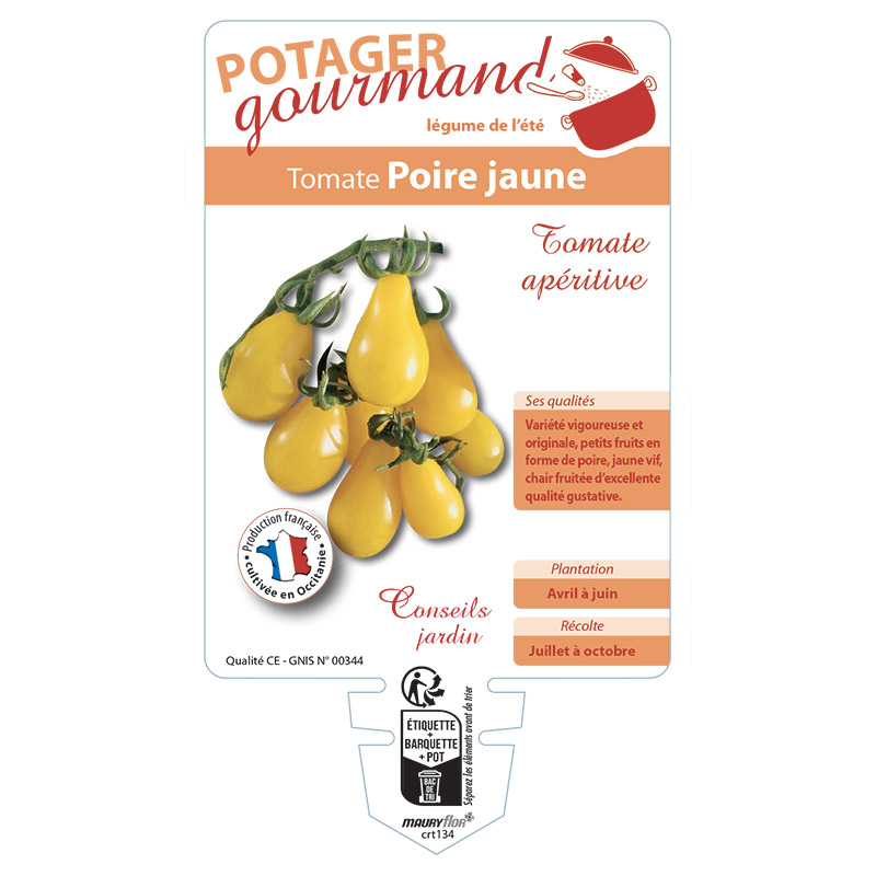 TOMATE POIRE JAUNE