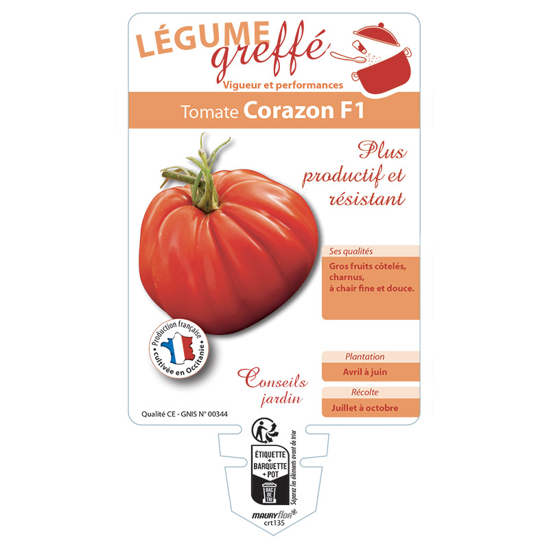 TOMATE CORAZON GREFFÉE