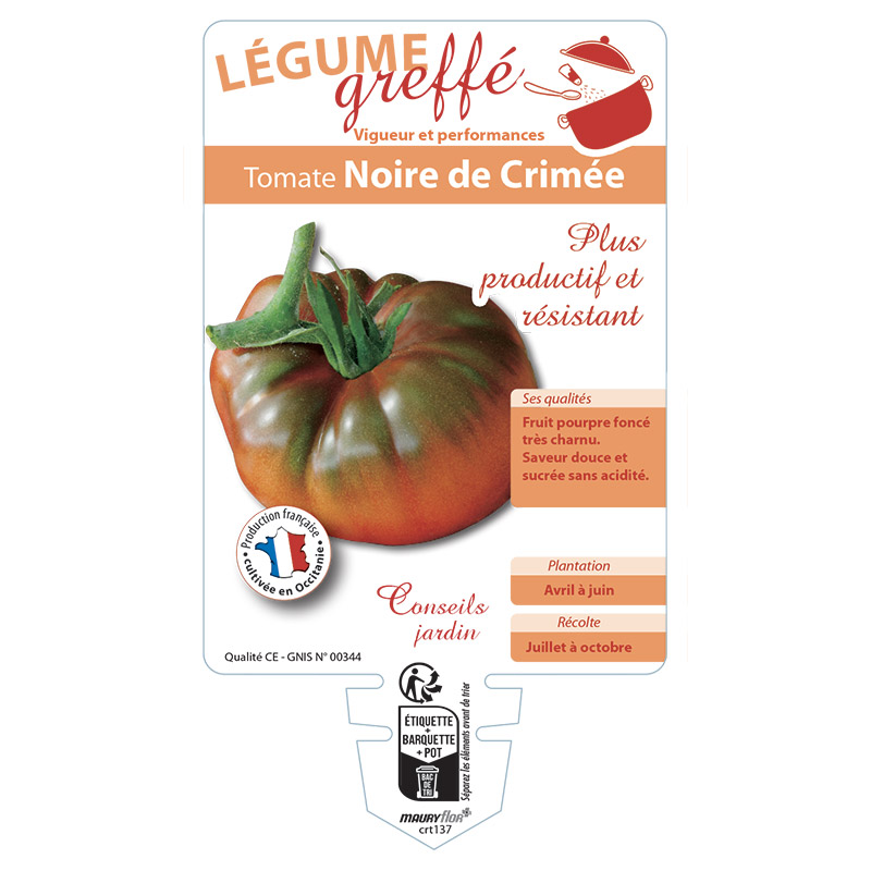 TOMATE NOIRE DE CRIMEE GREFFÉE