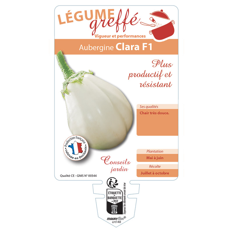 AUBERGINE CLARA GREFFÉE