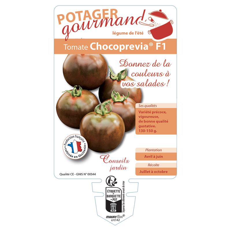TOMATE CHOCOPREVIA