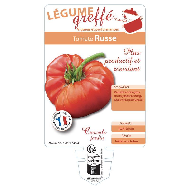 TOMATE RUSSE GREFFÉE