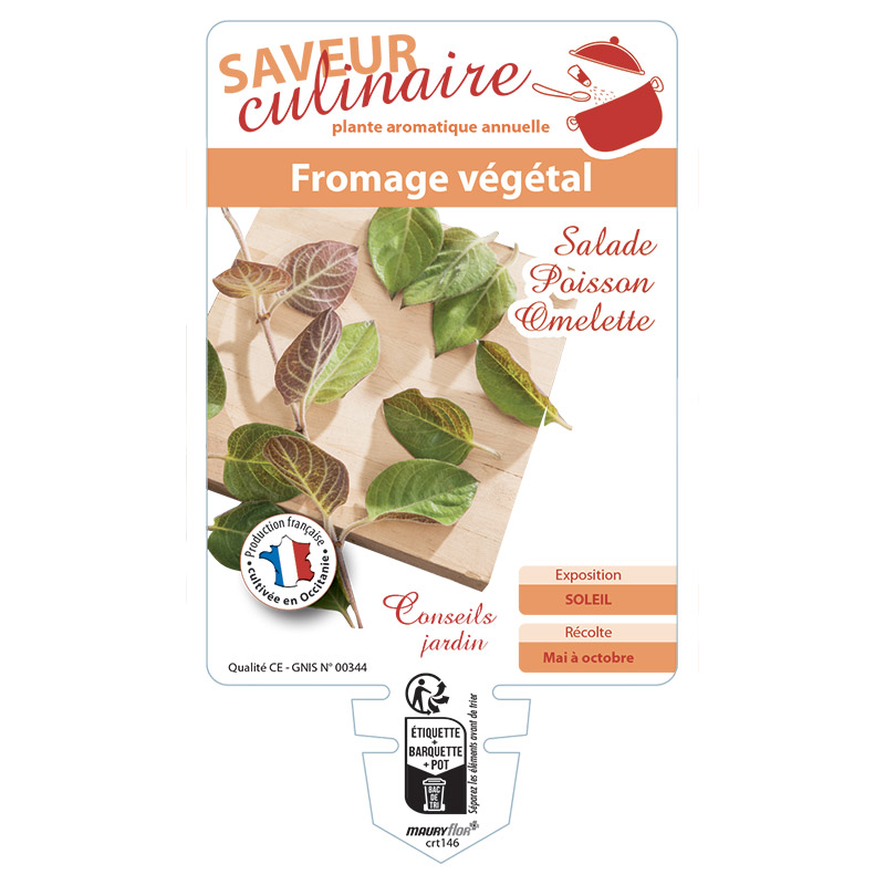 FROMAGE VEGETAL