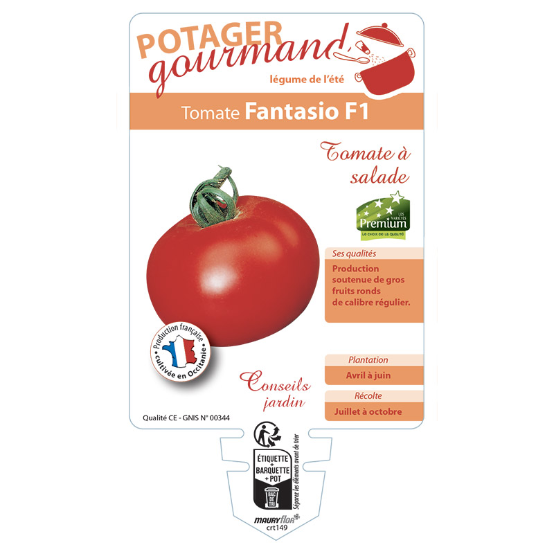 TOMATE FANTASIO