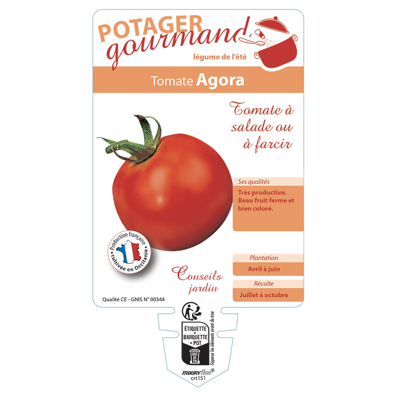 TOMATE AGORA