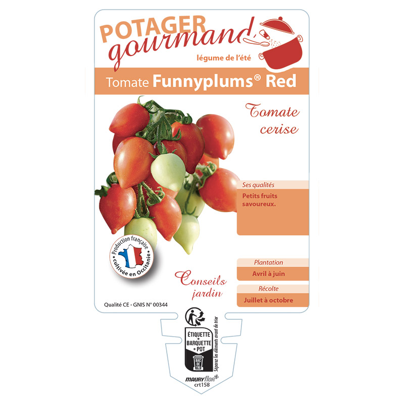 TOMATE FUNNYPLUMS RED