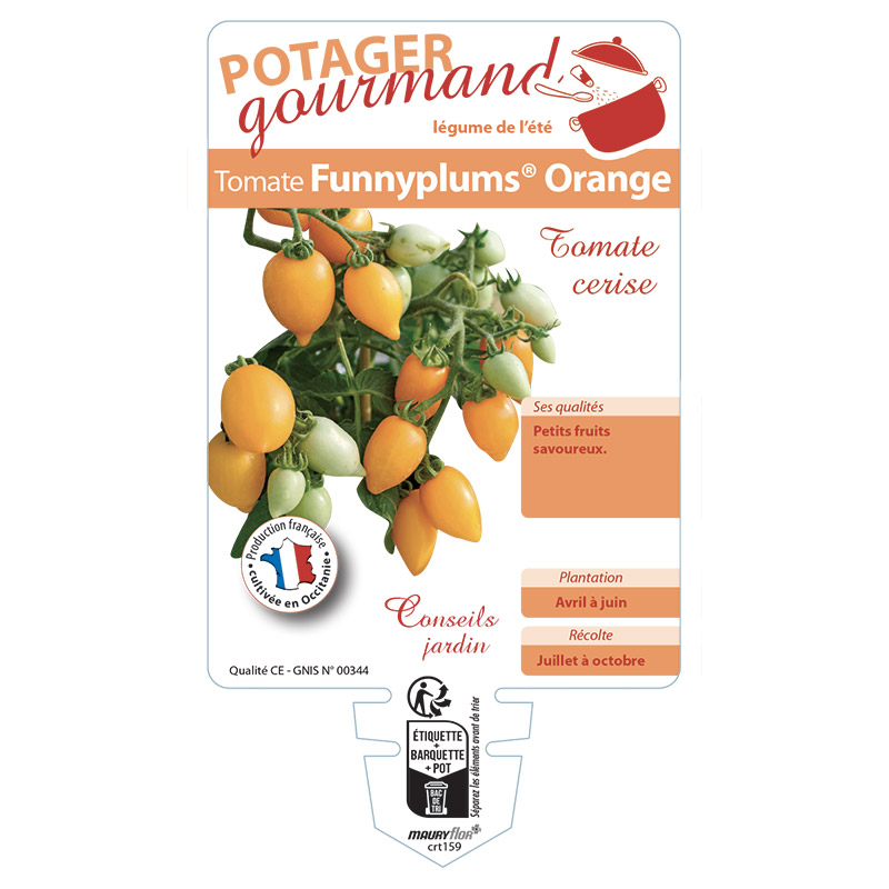 TOMATE FUNNYPLUMS ORANGE