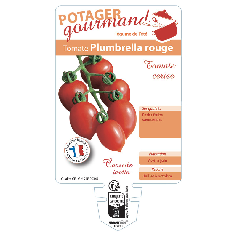 TOMATE PLUMBRELLA ROUGE