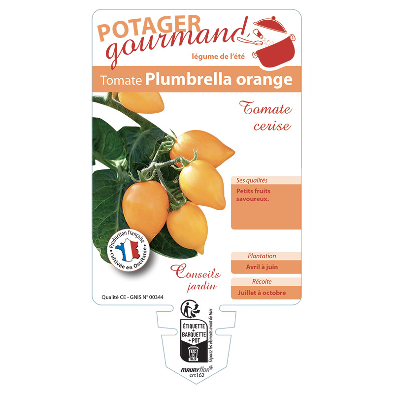 TOMATE PLUMBRELLA ORANGE