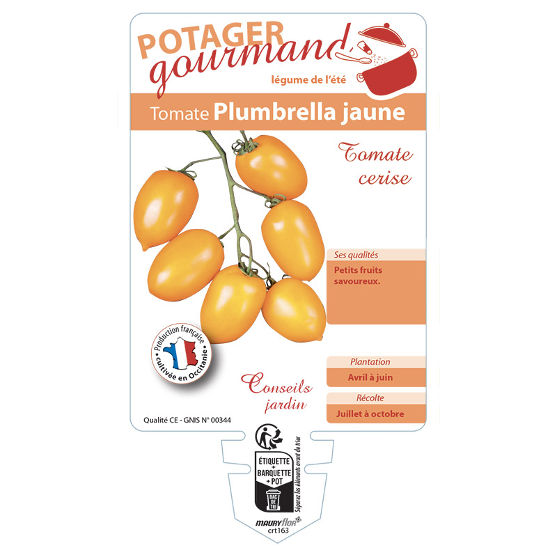 TOMATE PLUMBRELLA JAUNE