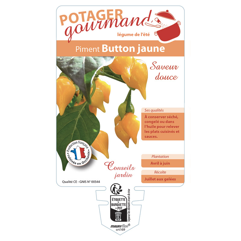 PIMENT BUTTON JAUNE