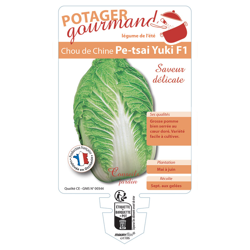 CHOU DE CHINE PE-TSAI YUKI F1