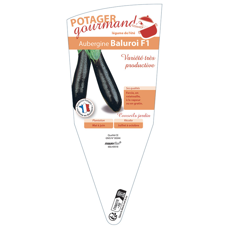AUBERGINE BALUROI