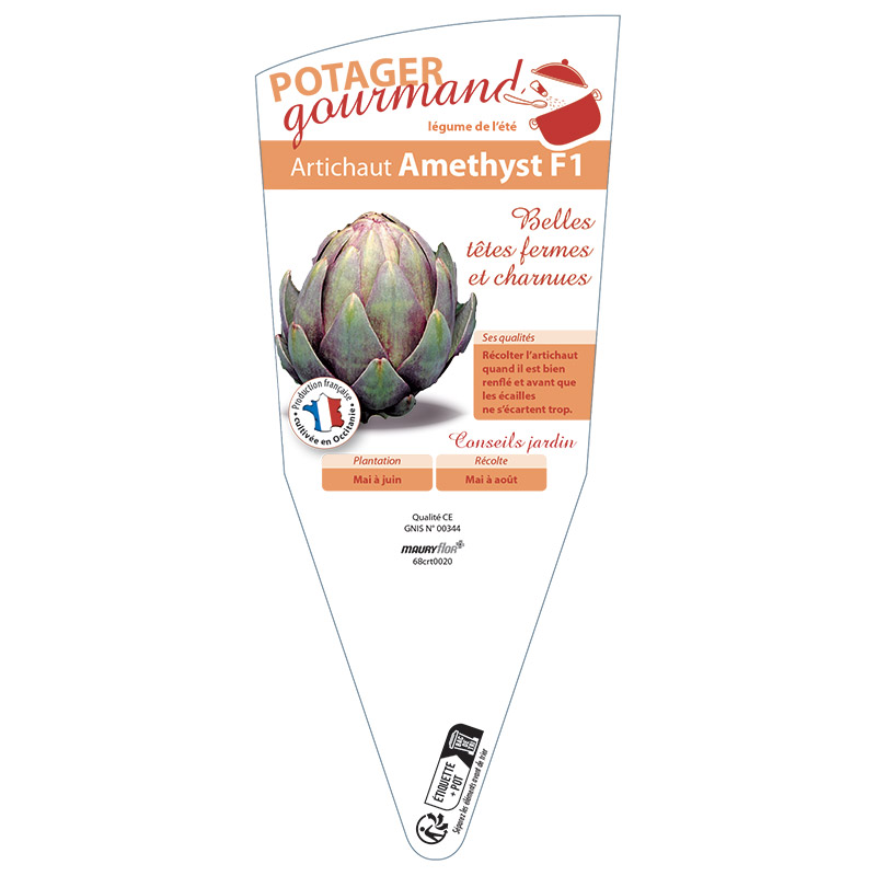 ARTICHAUT AMETHYST