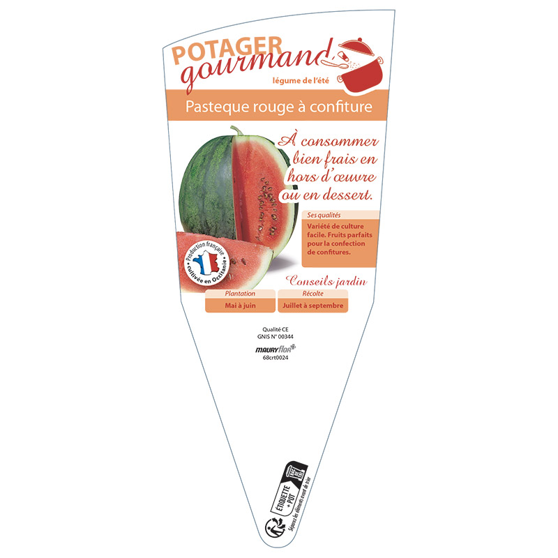 PASTEQUE ROUGE A CONFITURE