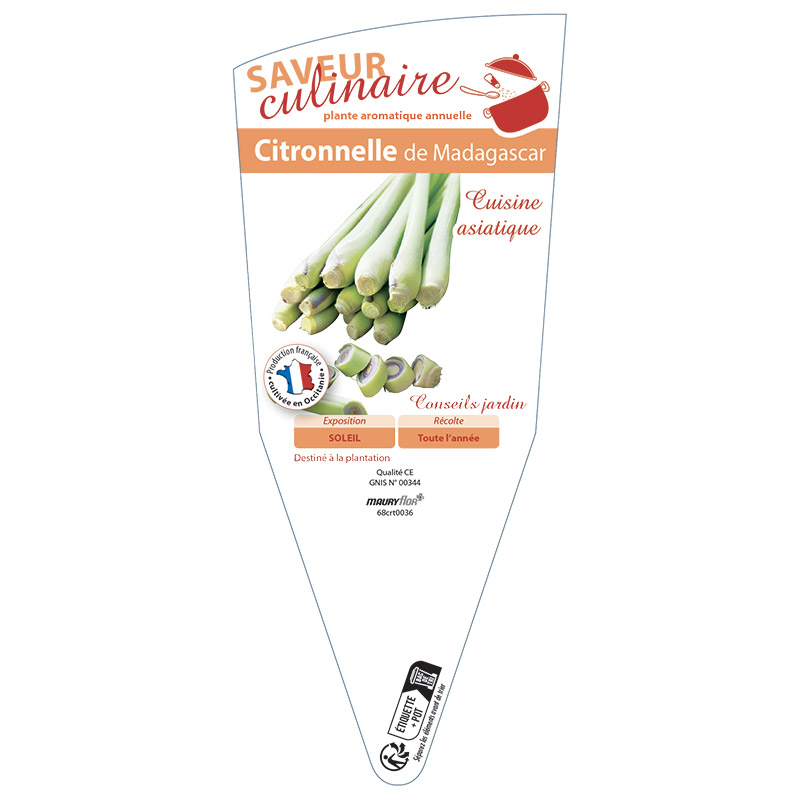 CITRONELLE DE MADAGASCAR