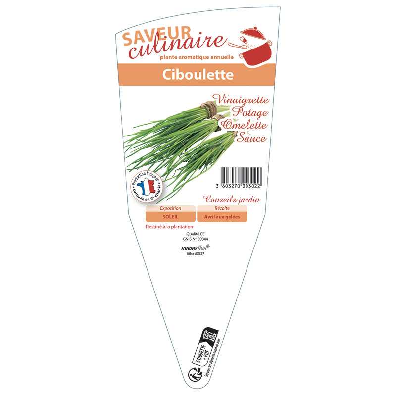 CIBOULETTE