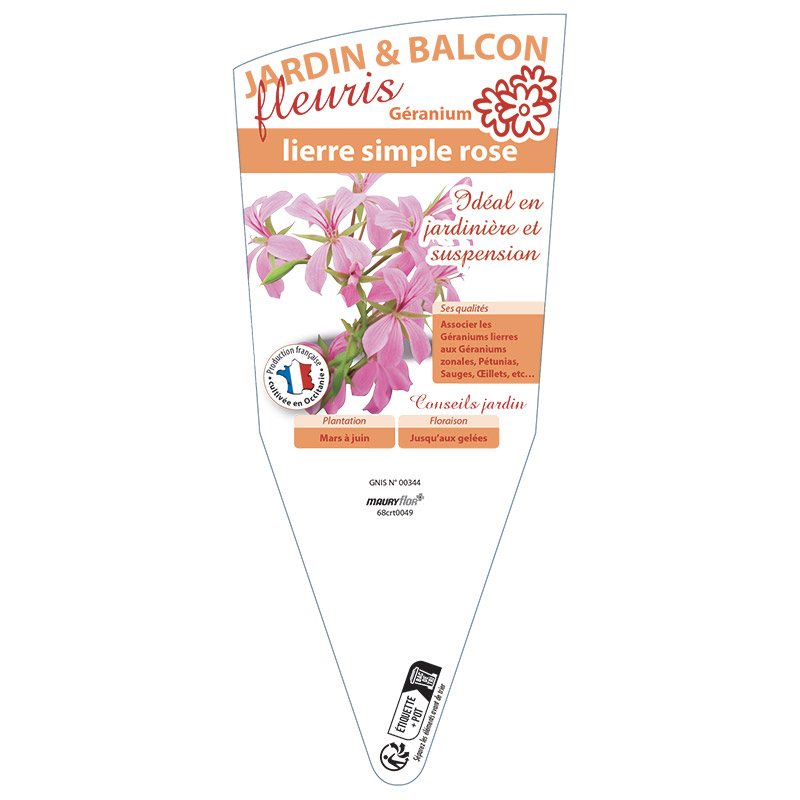 GERANIUM LIERRE SIMPLE ROSE