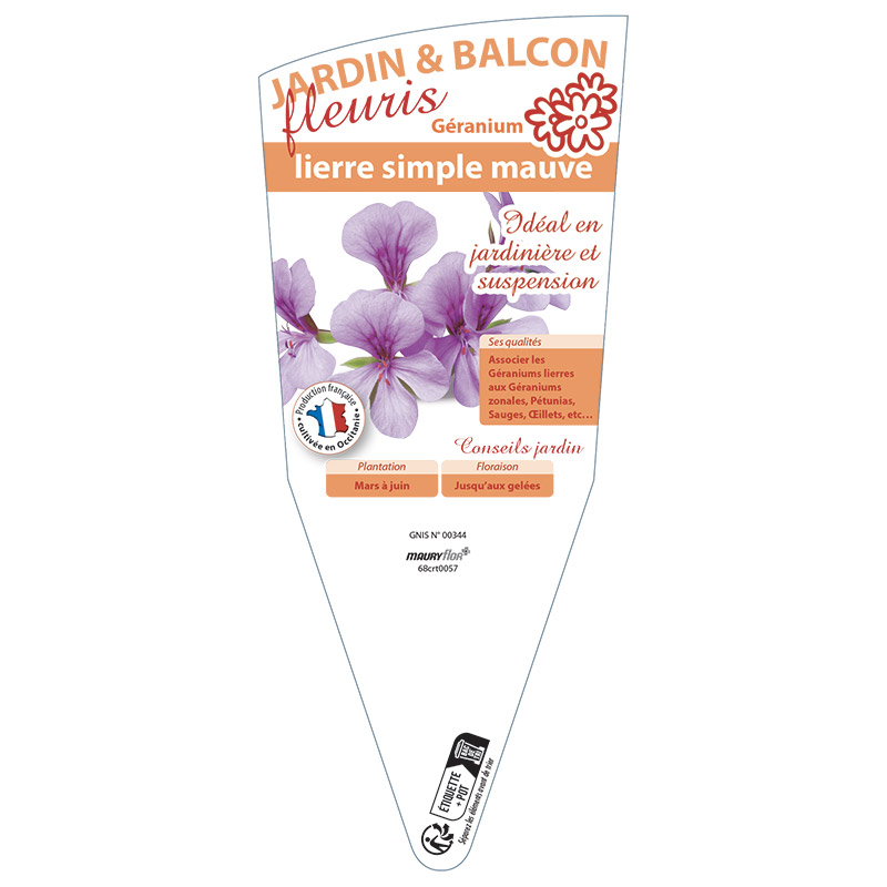 GÉRANIUM LIERRE SIMPLE MAUVE