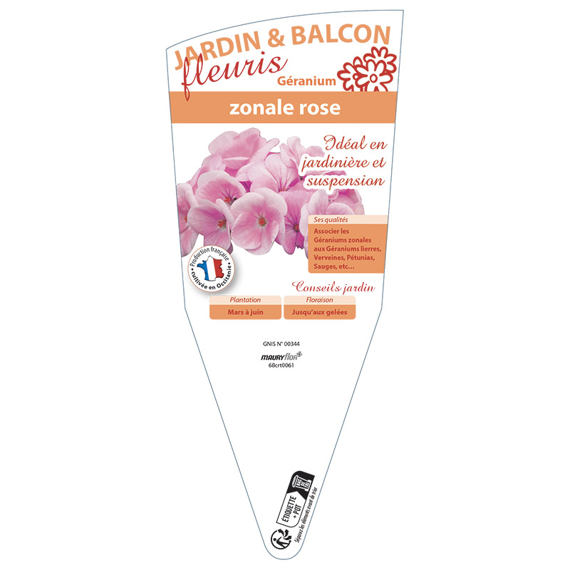 GÉRANIUM ZONALE ROSE