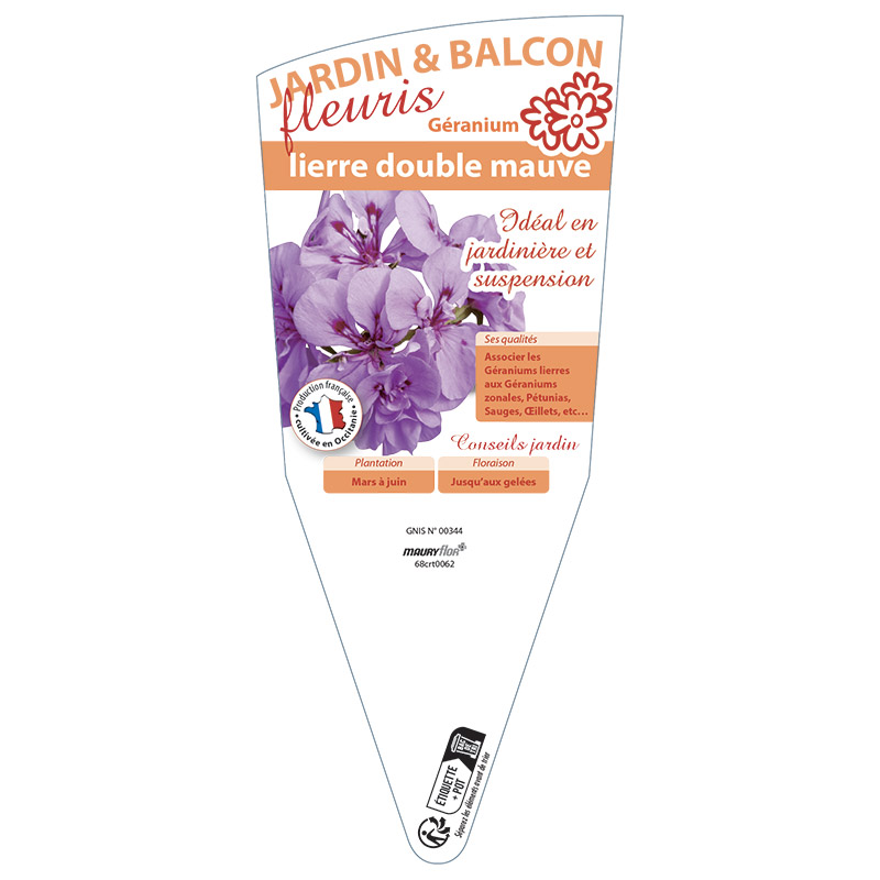 GÉRANIUM LIERRE DOUBLE MAUVE