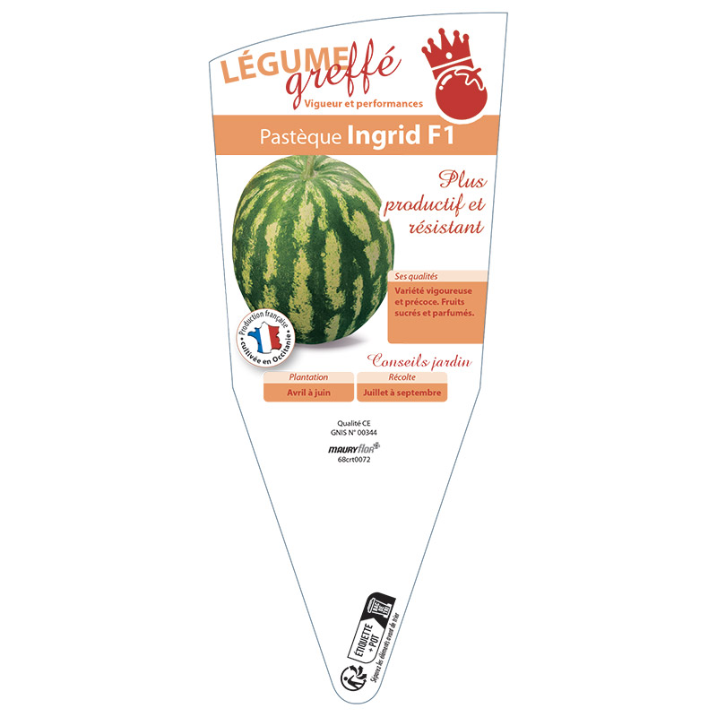 PASTÈQUE INGRID GREFFÉE