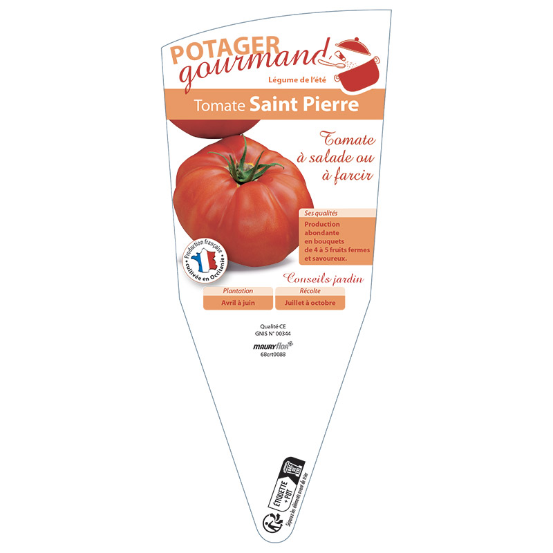 TOMATE SAINT PIERRE