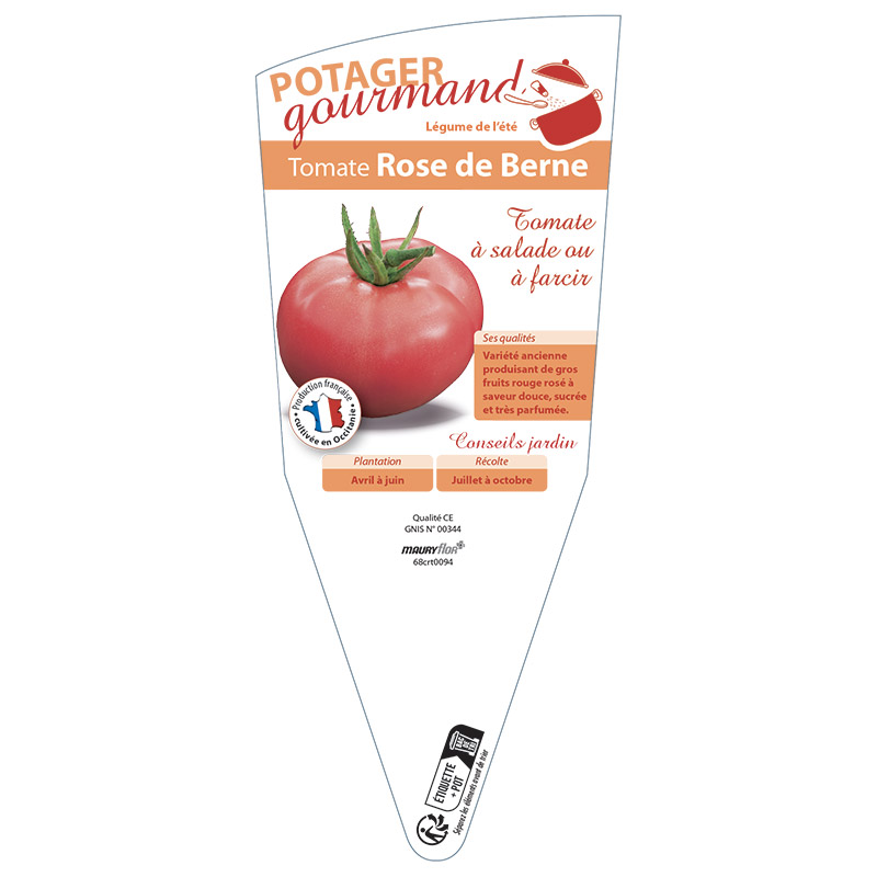 TOMATE ROSE DE BERNE