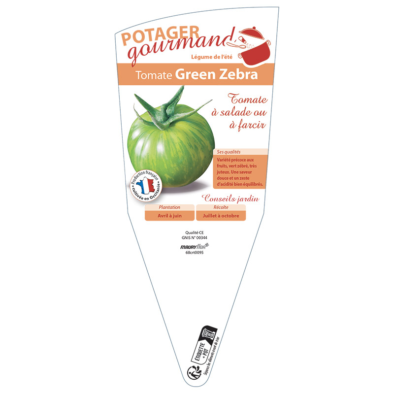 TOMATE GREEN ZEBRA