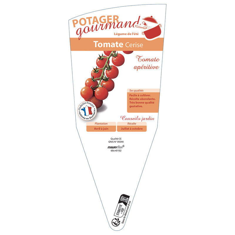 TOMATE CERISE