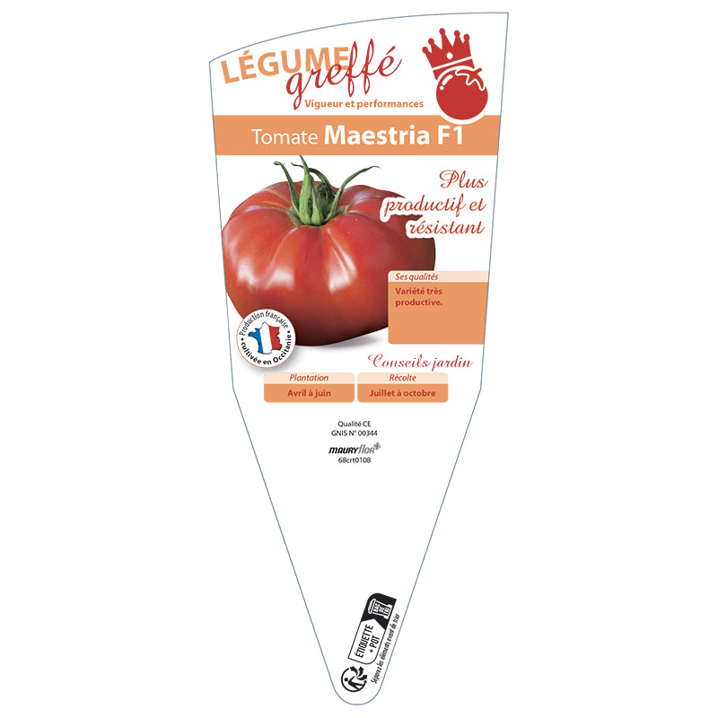 TOMATE MAESTRIA GREFFÉE