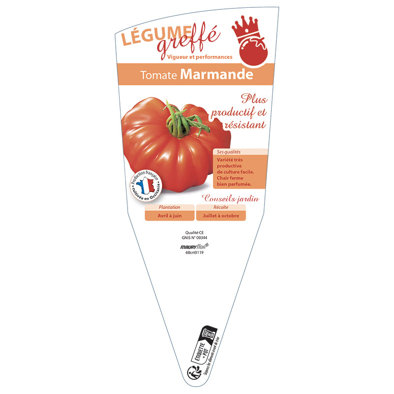 TOMATE MARMANDE GREFFÉE