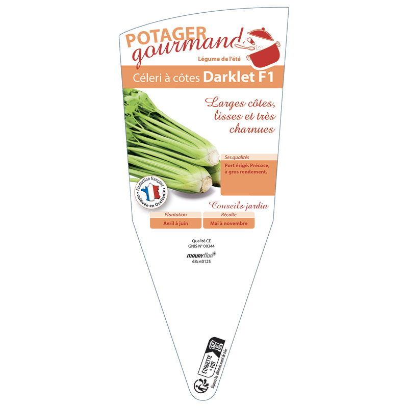 CELERI À CÔTES DARKLET F1