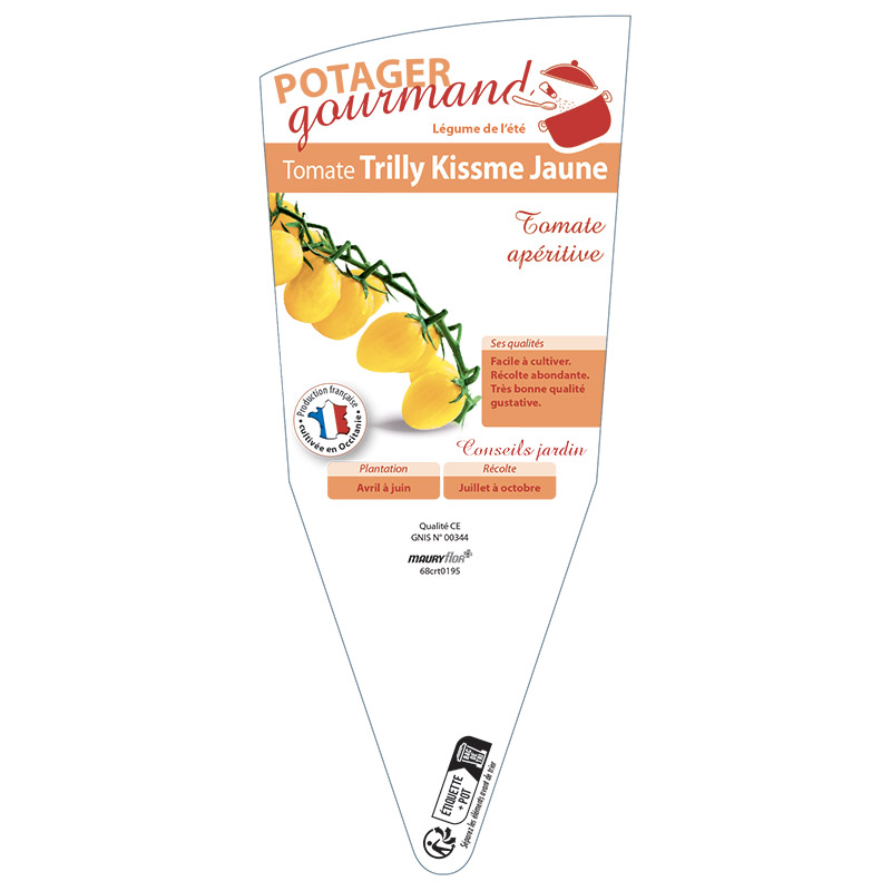 TOMATE TRILLY KISSME JAUNE