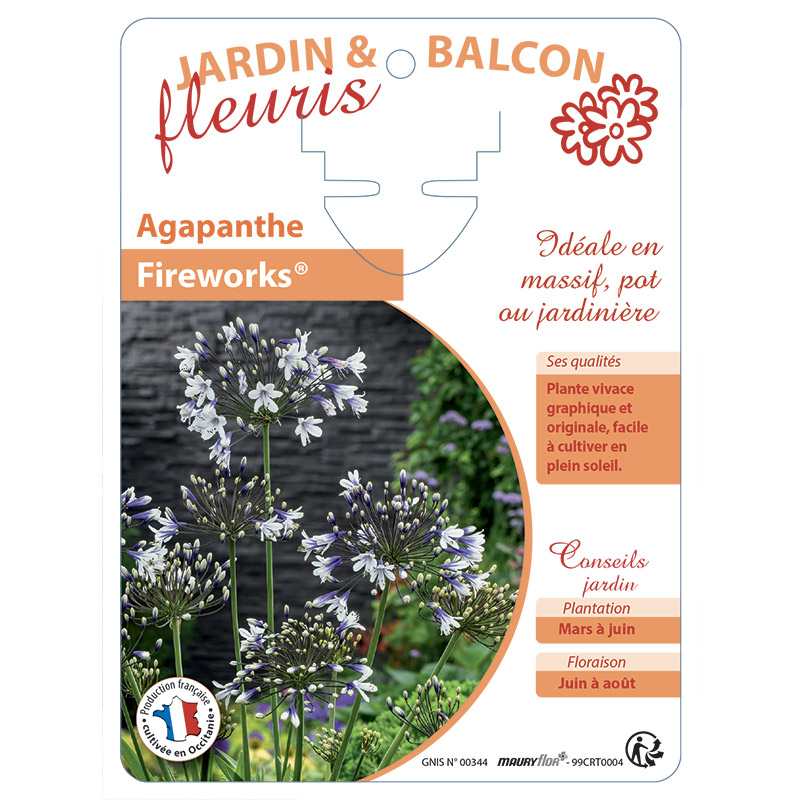 AGAPANTHE FIREWORKS®
