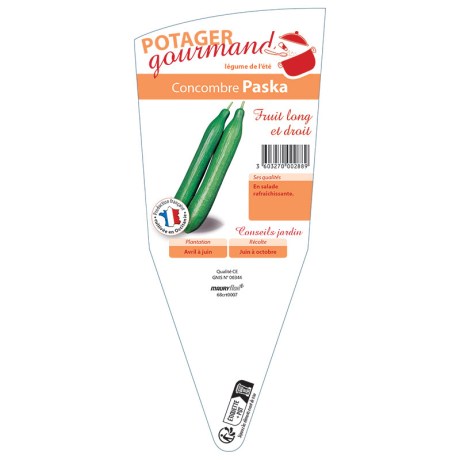 CONCOMBRE Paska