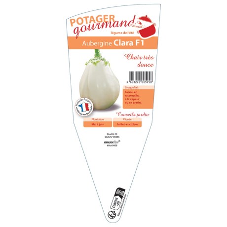 AUBERGINE CLARA