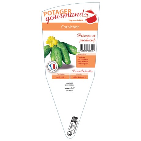 CORNICHON