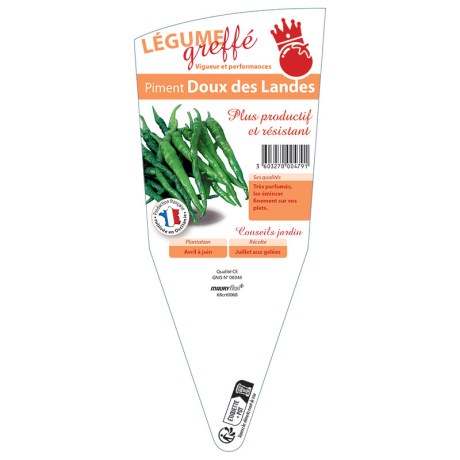 PIMENT DOUX DES LANDES GREFFÉ