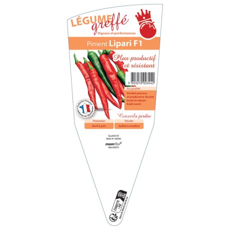 PIMENT LIPARI GREFFÉ